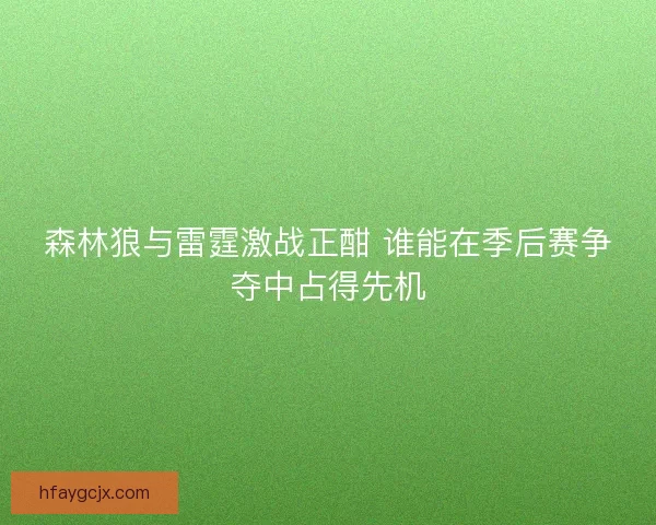 森林狼与雷霆激战正酣 谁能在季后赛争夺中占得先机